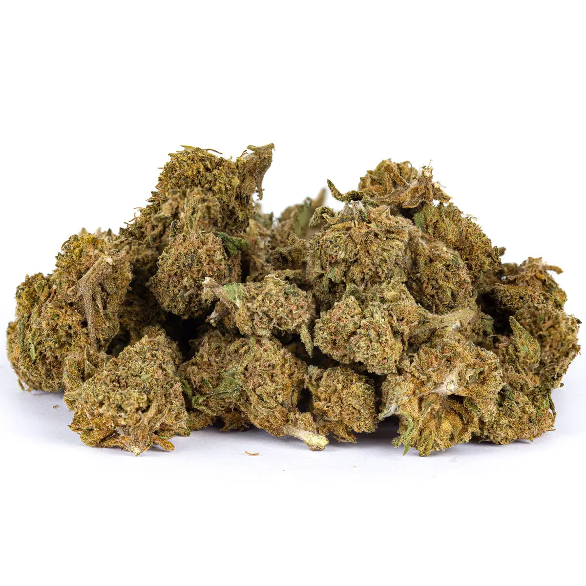 Small Bud Gorilla Indoor