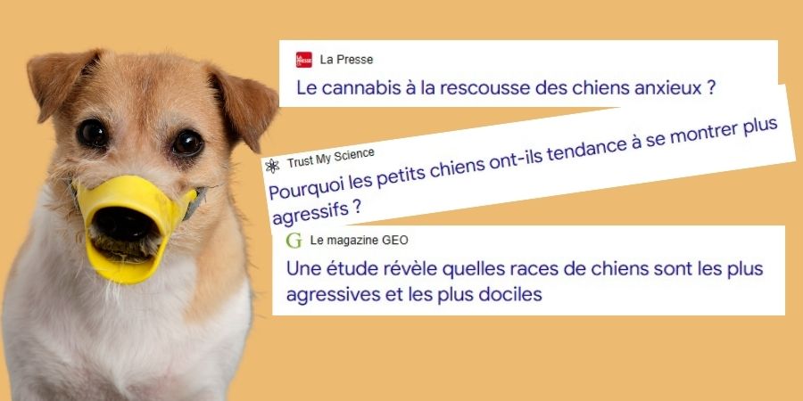 cbd pour chien agressif coupures de presse