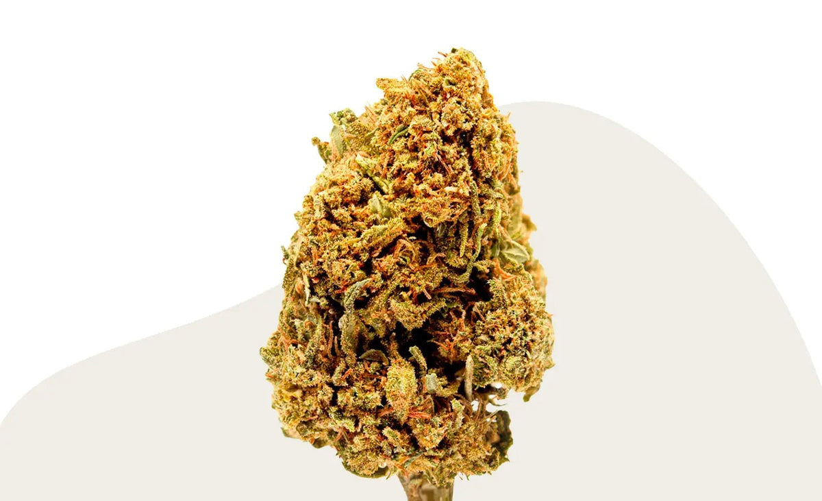 Fleurs de CBD