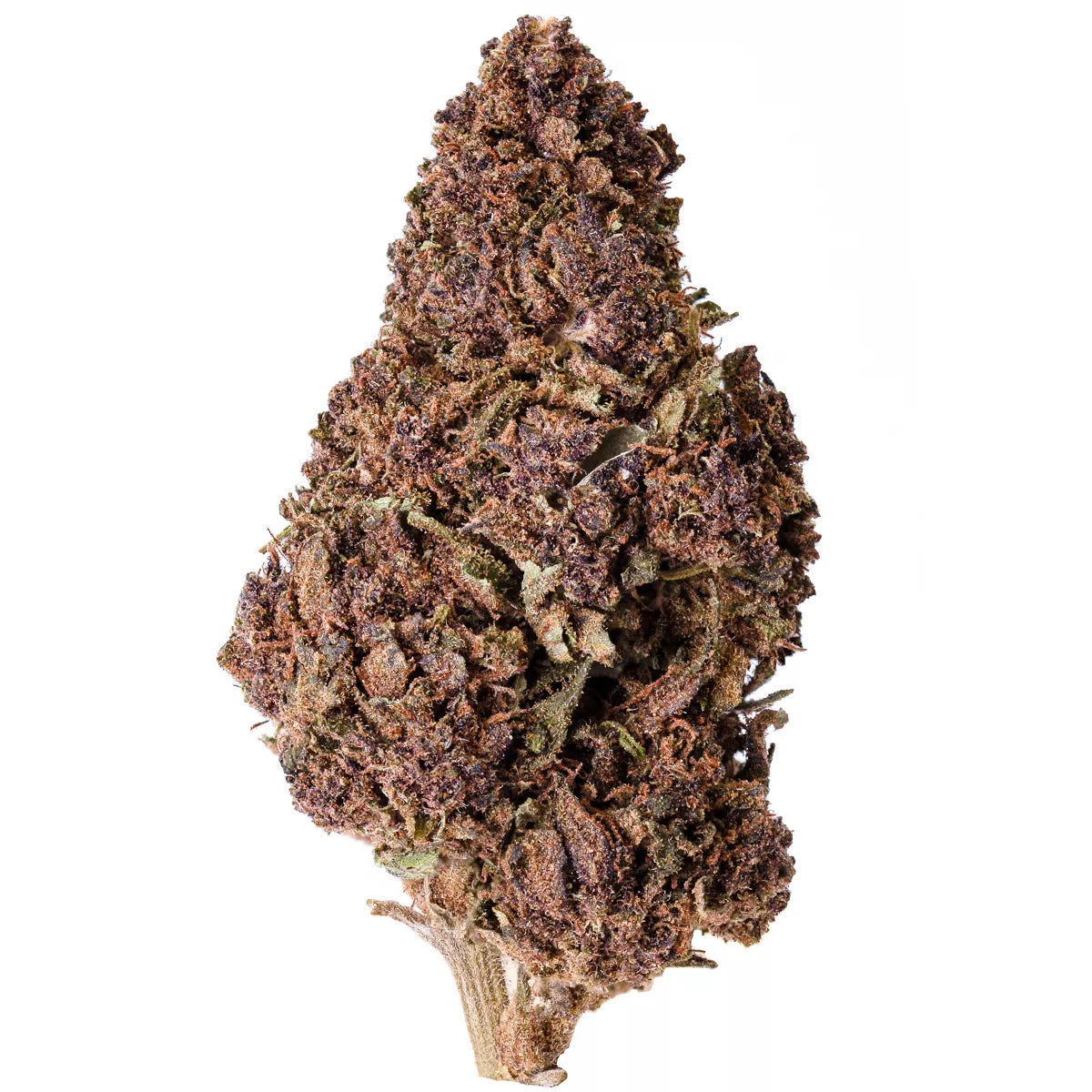 Purple Punch