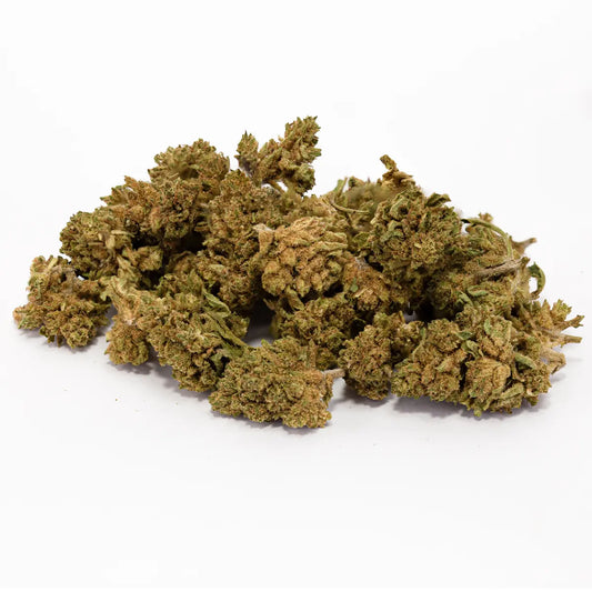 Small Bud Amnésia Greenhouse