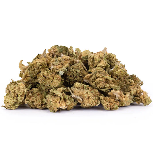 Small Bud Gelato Indoor