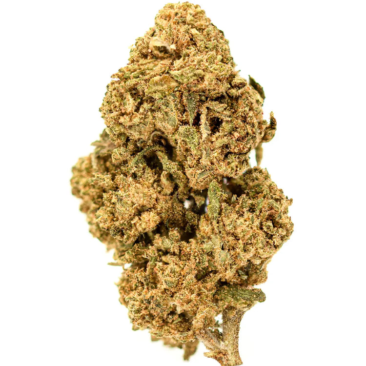 Fleurs CBD greenhouse